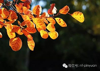 【大事記】輝煌八周年-第三季度員工表彰大會(huì)！